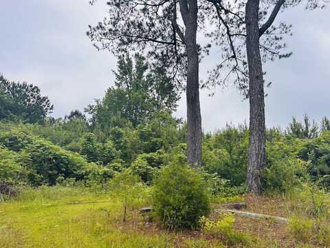 2485 Mitchellville Road, Ohatchee, AL 36271