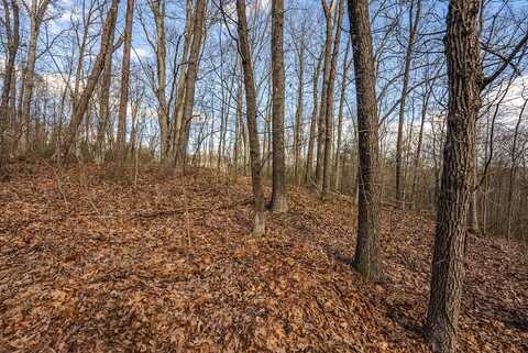 Lot 1 New Hope Rd, Cross Junction, VA 22625