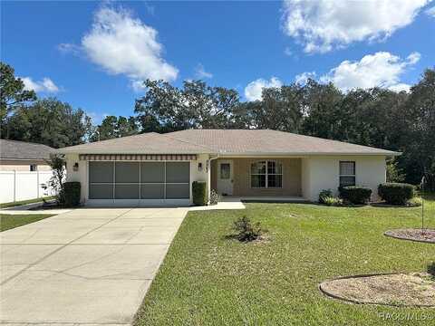 Vince, CITRUS SPRINGS, FL 34434