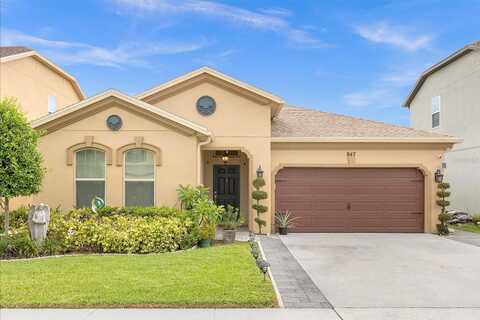 Boxelder, MINNEOLA, FL 34715