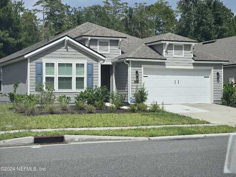 Island Fox, JACKSONVILLE, FL 32222