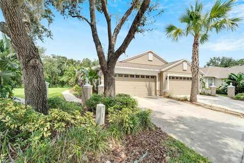 Phoebenest, LITHIA, FL 33547
