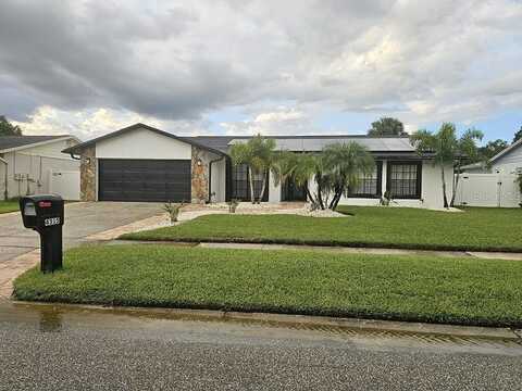 Hollow Hill, TAMPA, FL 33624