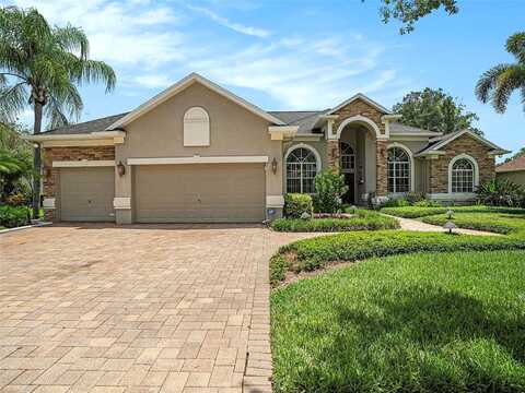 Nine, VALRICO, FL 33596