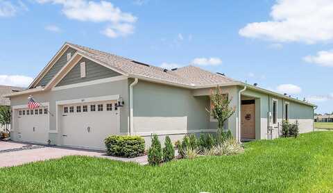Meadow Beauty, CLERMONT, FL 34714