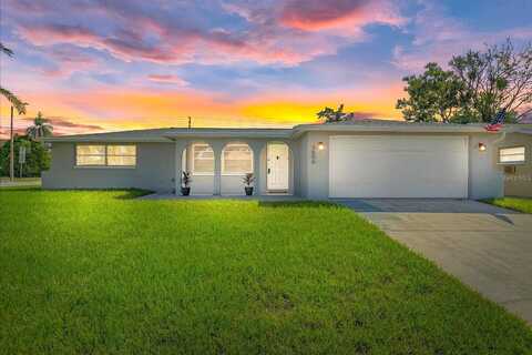 Cockatoo, NEW PORT RICHEY, FL 34652