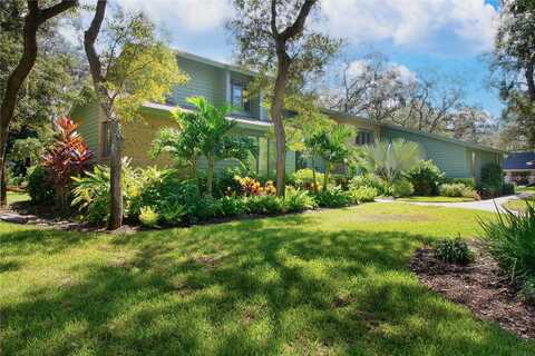 Butternut, DUNEDIN, FL 34698