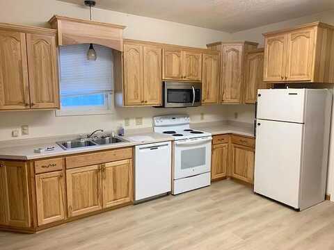 Birch, MAPLE LAKE, MN 55358