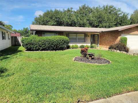 Butternut, CLEARWATER, FL 33763