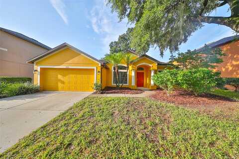 Abbey Ridge, DOVER, FL 33527