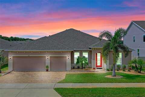 Bonser, MINNEOLA, FL 34715