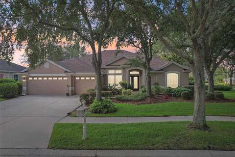 Sugar Brooke, TAMPA, FL 33647