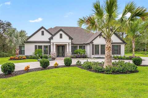 Oldenburg, HUDSON, FL 34667
