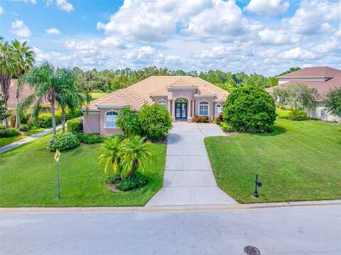 Thoroughbred, DADE CITY, FL 33525