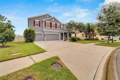 Tetrafin, RIVERVIEW, FL 33579