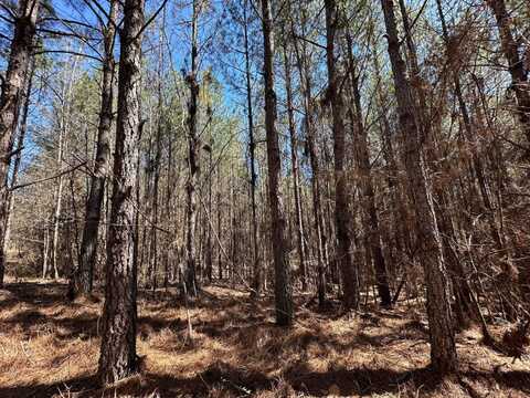 2 County Road 5112, Ethel, MS 38829