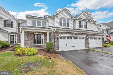 Lavender, YARDLEY, PA 19067