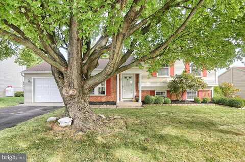 Honeysuckle, MECHANICSBURG, PA 17050