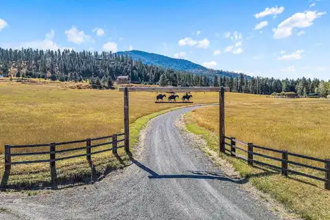 Deer Meadow, KETTLE FALLS, WA 99141