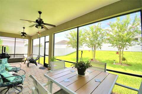 Pearly, LAKELAND, FL 33812