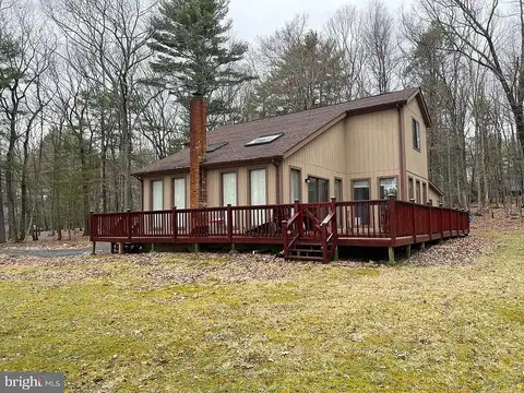 Deer, EAST STROUDSBURG, PA 18302