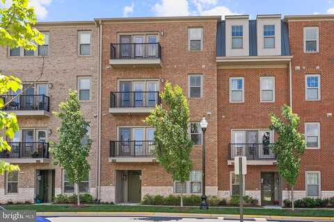 Littlehales, ASHBURN, VA 20148