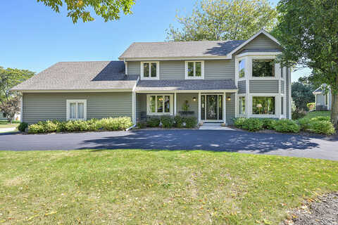 Chicory, PEWAUKEE, WI 53072