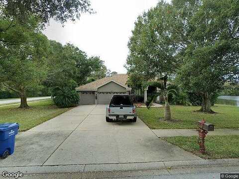 Meadow View, PALM HARBOR, FL 34683