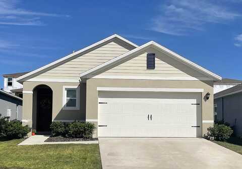 Salvia Court, TAVARES, FL 32778