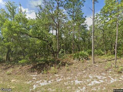 W Ansley Dr, Citrus Springs, FL 34434