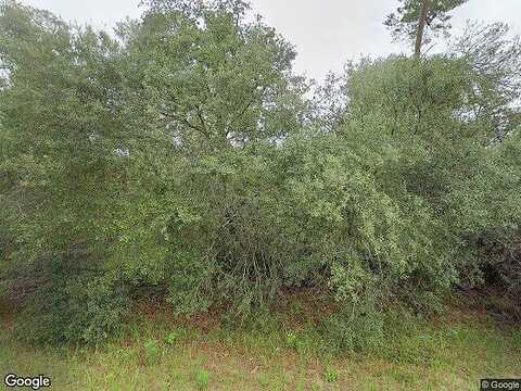 Sw 17Th Cir, Ocala, FL 34473