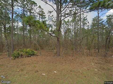 Sw 96Th Ln, Dunnellon, FL 34432