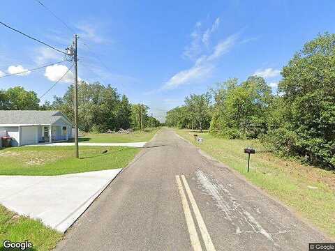 Guava Terrace Radl, Ocklawaha, FL 32179