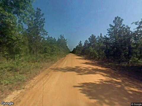 Jekyll Island Rd, Jesup, GA 31545
