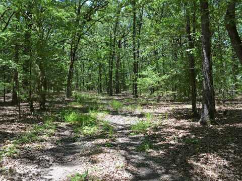 000 CR 14590, Pattonville, TX 75468