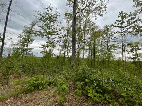 TBD Dunn Bridge Rd, Heltonville, IN 47436
