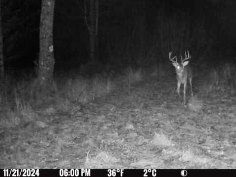 0 Binder Rd, Planfield, MI 48763
