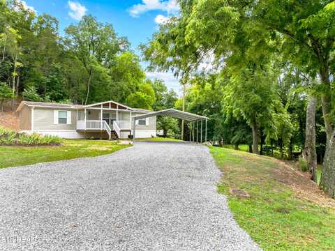 Thinwood, NEWPORT, TN 37821