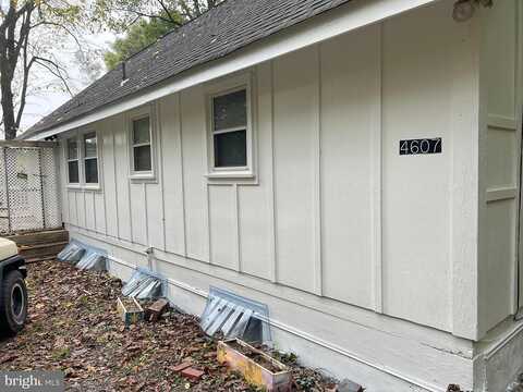 Blue Mountain, LINDEN, VA 22642