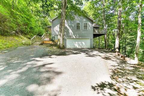 Fox, HIAWASSEE, GA 30546