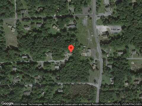 Horn Owl, TOBYHANNA, PA 18466