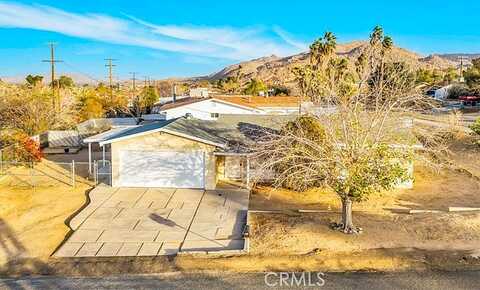Conejo, JOSHUA TREE, CA 92252