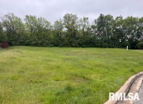 2203 W AUGUSTA Drive, Dunlap, IL 61525