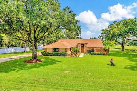 Joe Mcintosh, PLANT CITY, FL 33565