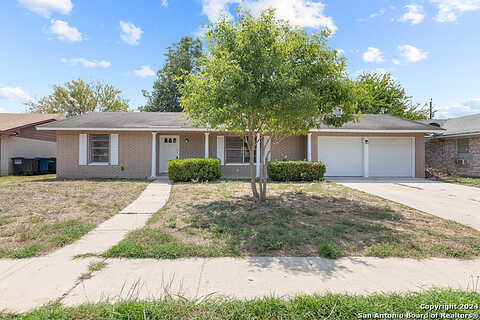 Lavender, SAN ANTONIO, TX 78220