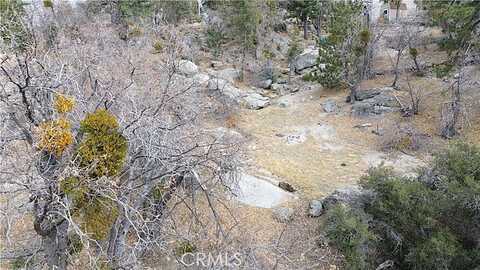 Bear, Running Springs, CA 92382