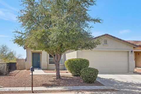 Brush Canyon, TUCSON, AZ 85710