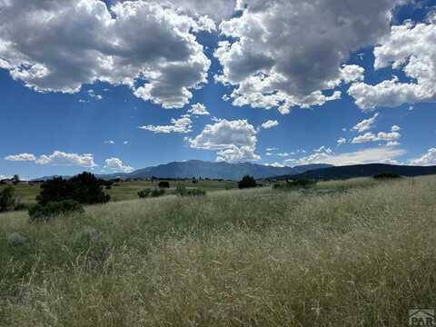 4617 Simpson Dr, Colorado City, CO 81019