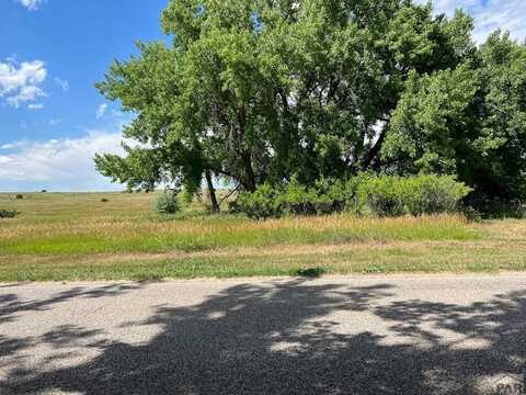 TBD Cuerno Verde Blvd, Colorado City, CO 81019