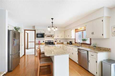 Jaguar, LAKEVILLE, MN 55044